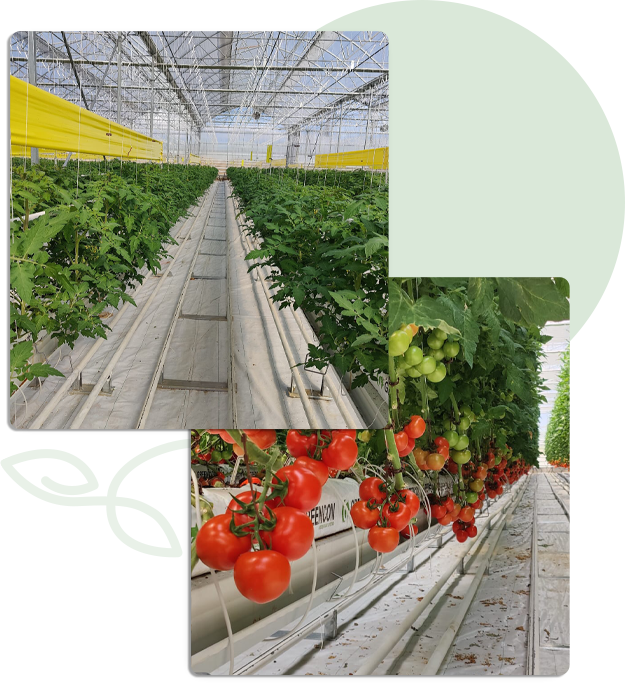 SÜRDÜRÜLEBİLİRLİK