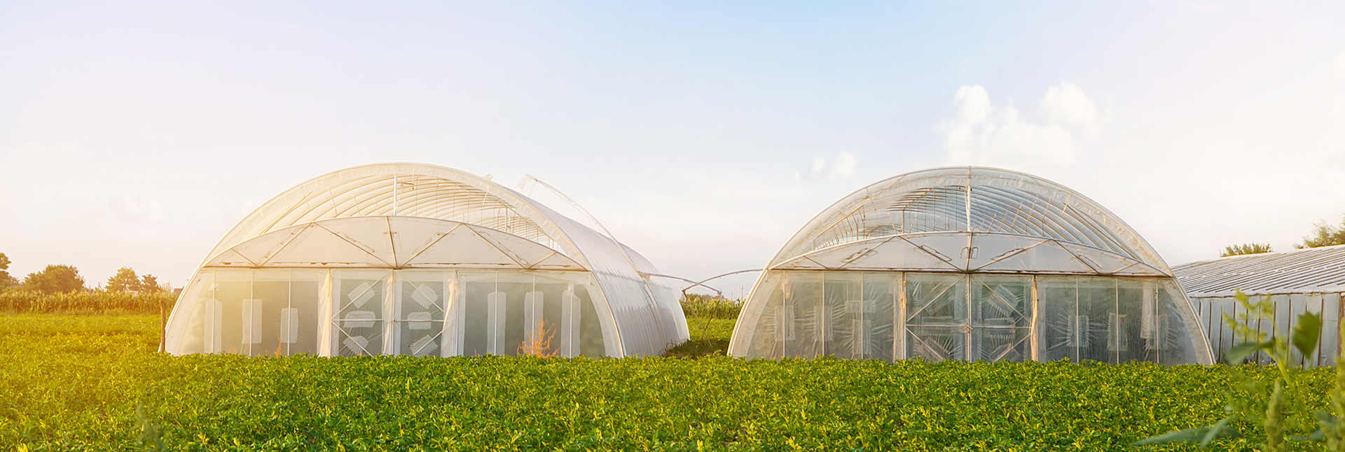 THE ERA OF SUSTAINABILITY  IN GREENHOUSE FARMING